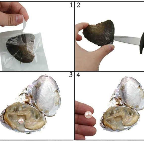 🚨4 LEFT💥OYSTER&PENDANT W/ FRESHWATER PEARL - Picture 2 of 5